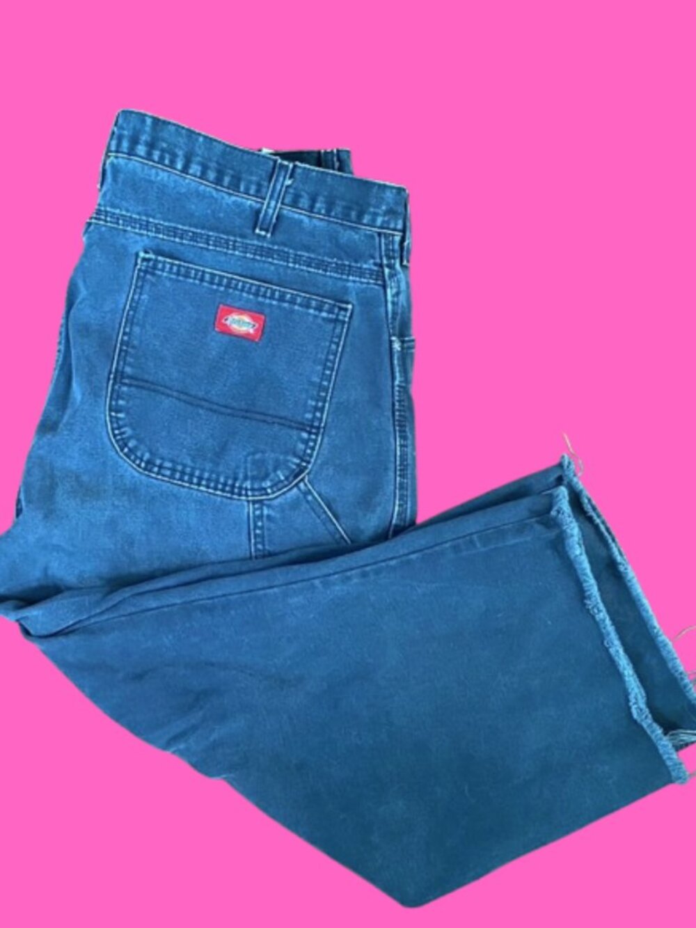 Dickies Men's Work pants